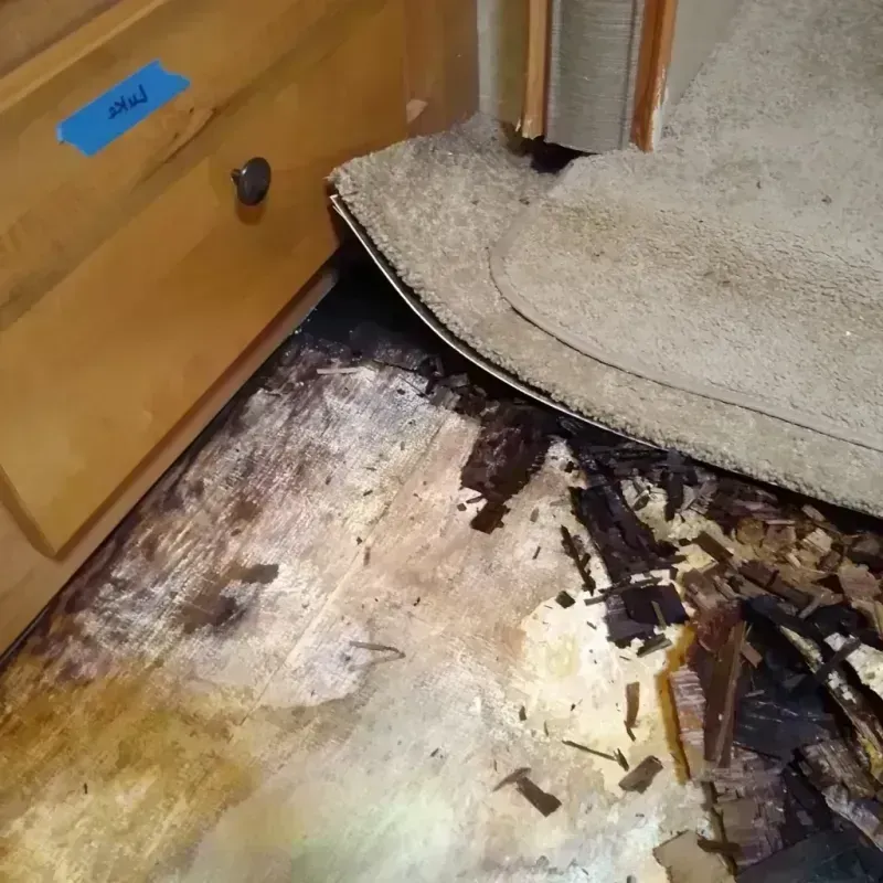 Wood Floor Water Damage in Oquawka, IL